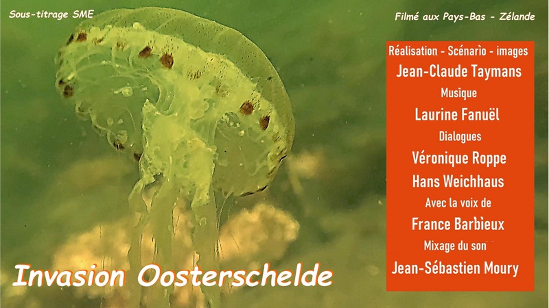 Invasion Oosterschelde