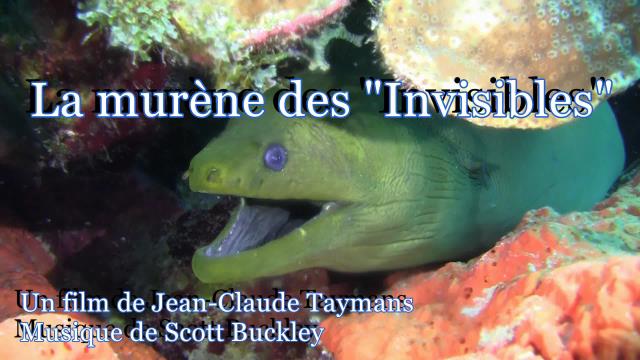 La mur�ne des invisibles