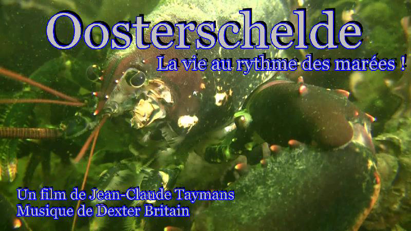 La vie au ryhme des mar�es