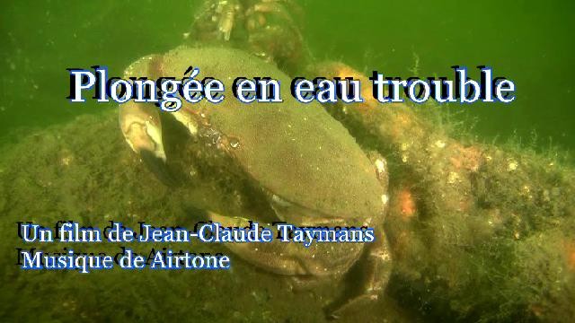 Plong�e en eau trouble