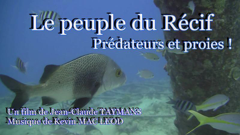 Le peuple du r�cif - Pr�dateurs et proies