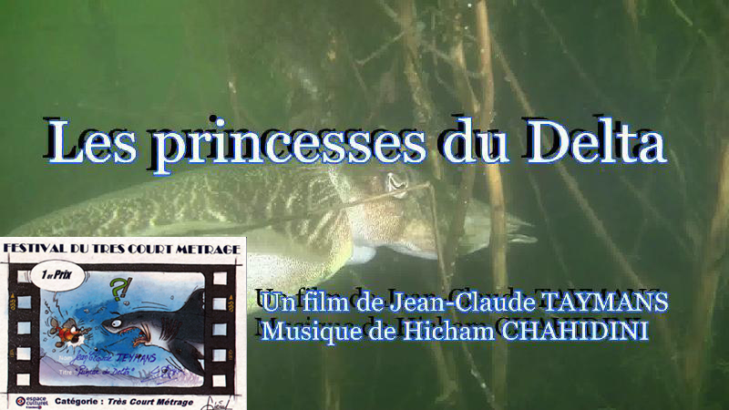 Princesse du Delta