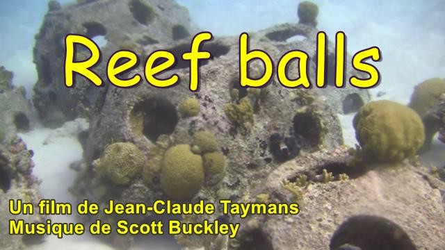 Reef balls