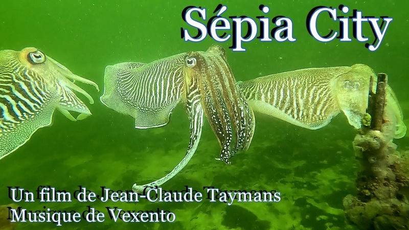 sepia city
