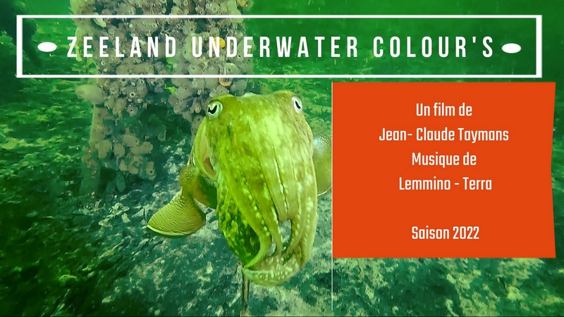 Zeeland Underwater Colour's 2022